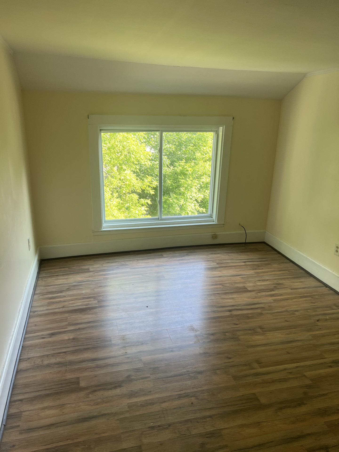 427 Essex St Unit 3